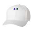 Wooly 6-Panel Cap Thumbnail