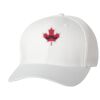 Wooly 6-Panel Cap Thumbnail