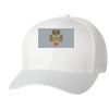 Wooly 6-Panel Cap Thumbnail