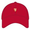 Solid Brushed Twill Cap Thumbnail